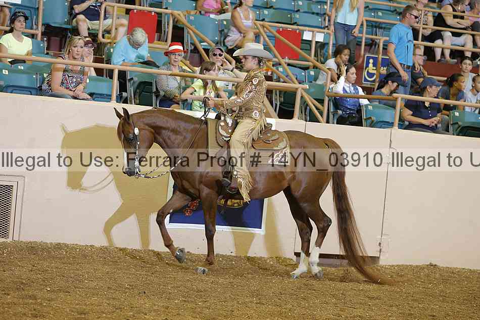 Proof 14yn_03910