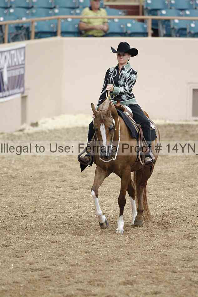 Proof 14yn_03913
