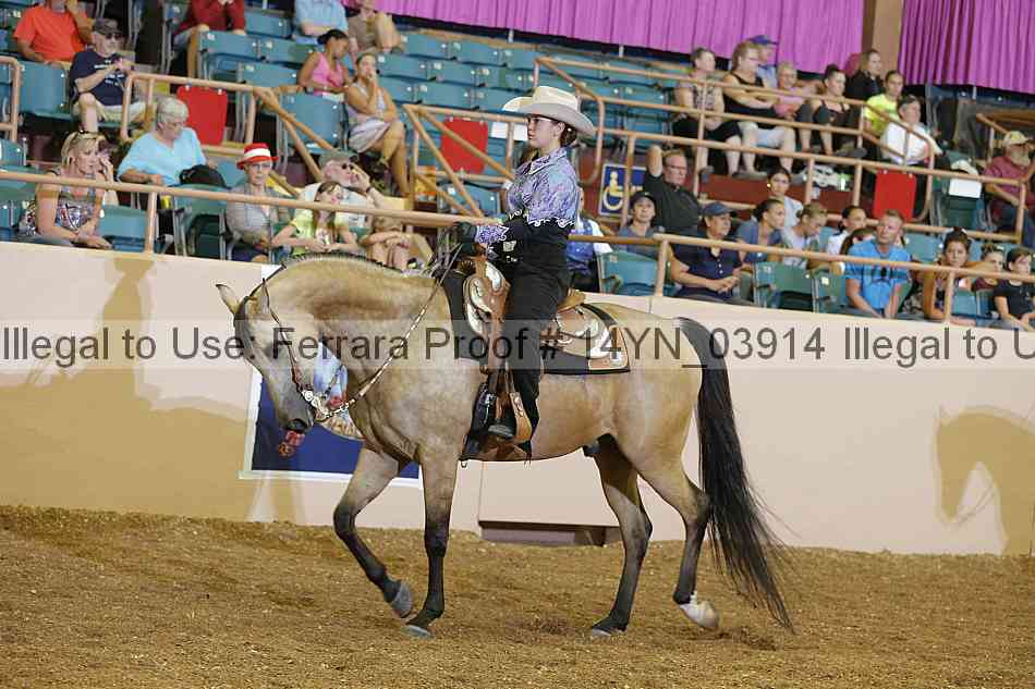 Proof 14yn_03914