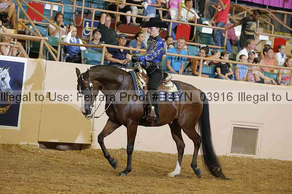 Proof 14yn_03916