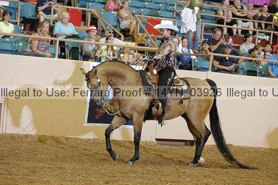 Proof 14yn_03926