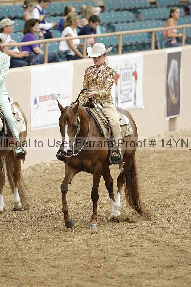 Proof 14yn_03927
