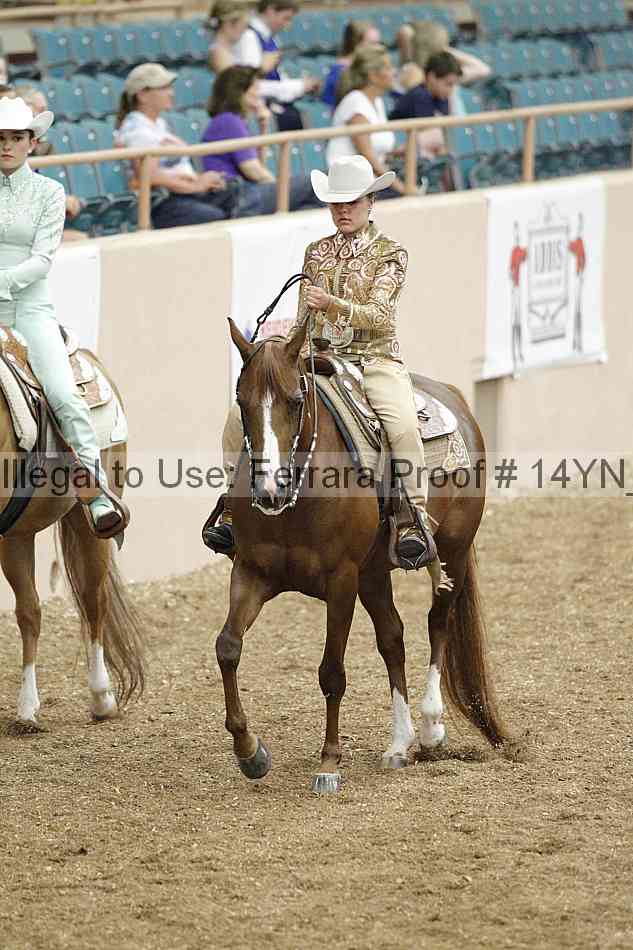 Proof 14yn_03928