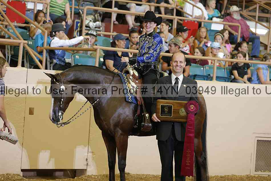 Proof 14yn_03949