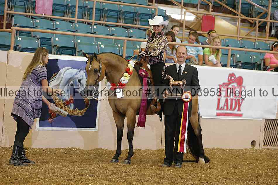 Proof 14yn_03958
