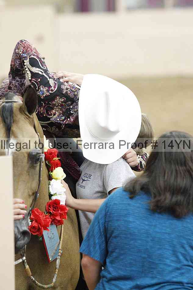 Proof 14yn_03963