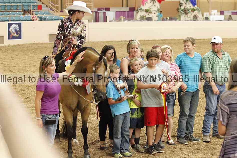 Proof 14yn_03965