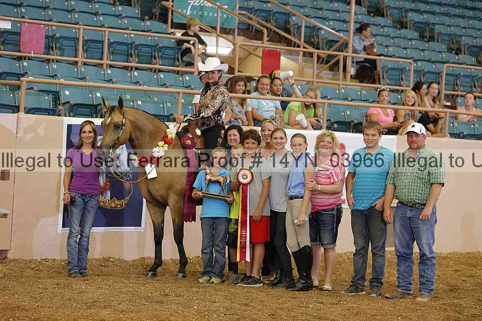 Proof 14yn_03966