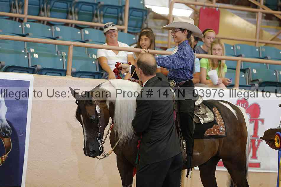 Proof 14yn_03976