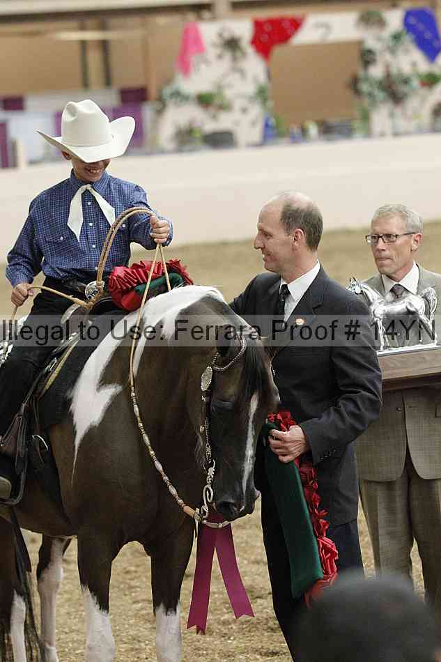 Proof 14yn_03977