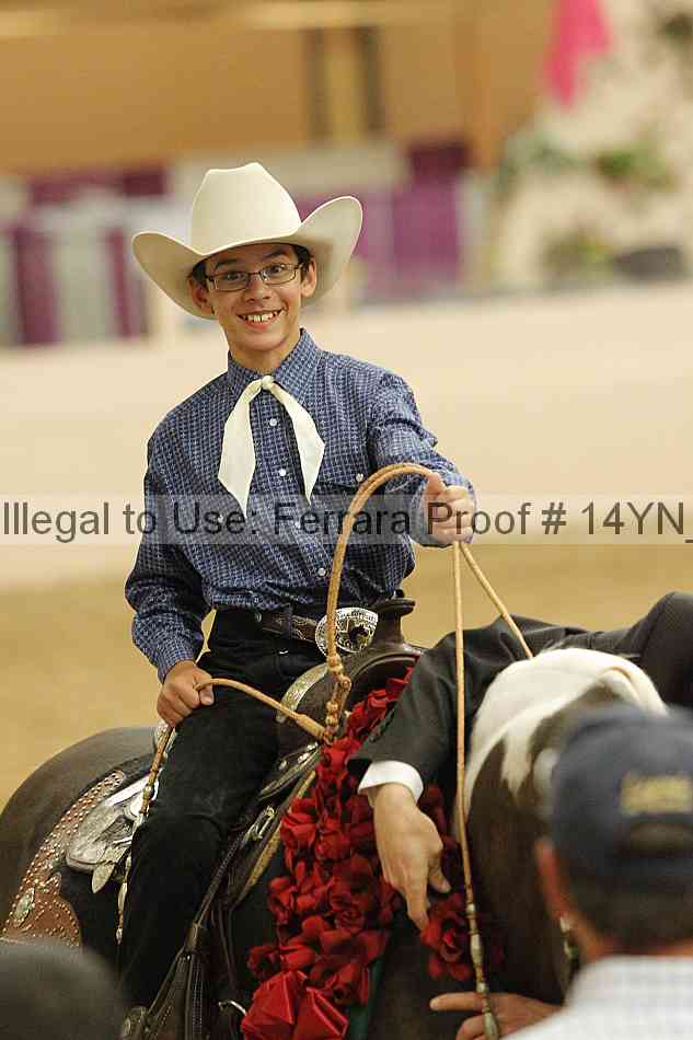 Proof 14yn_03979