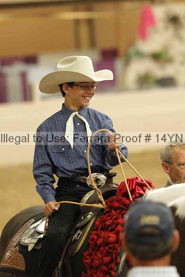 Proof 14yn_03981