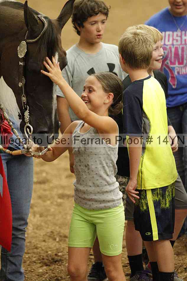 Proof 14yn_03994