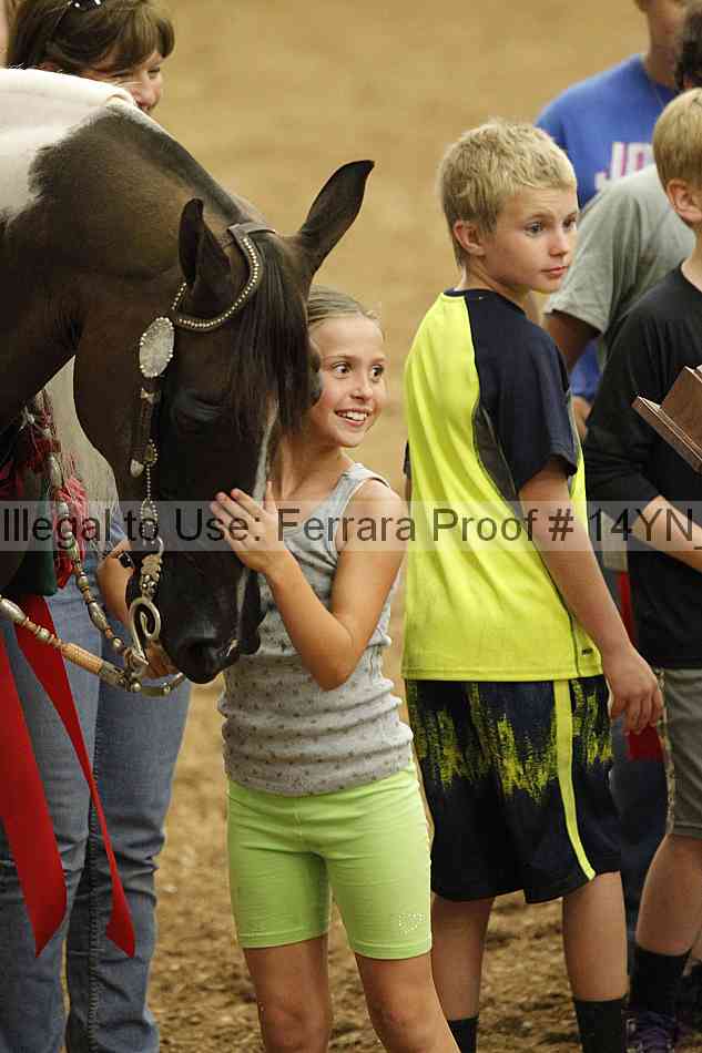 Proof 14yn_03995