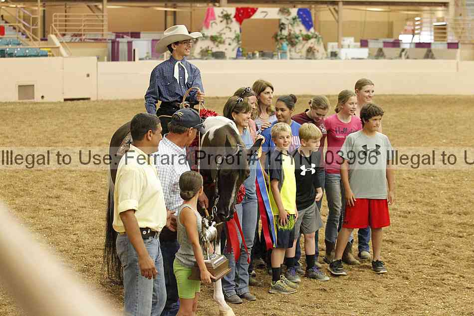 Proof 14yn_03996