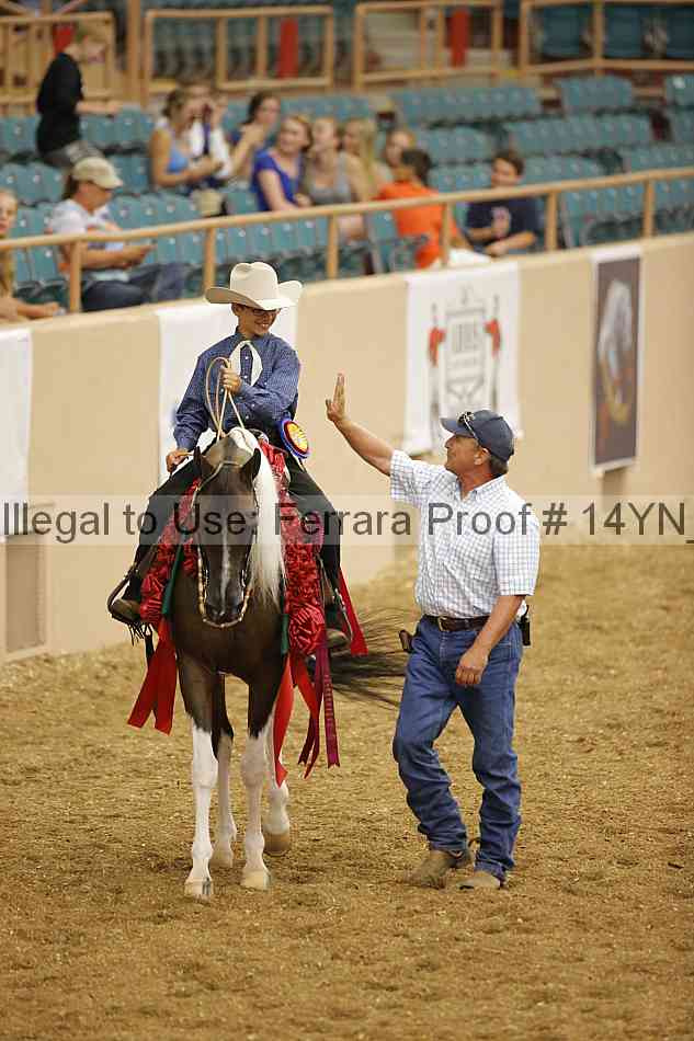Proof 14yn_04005