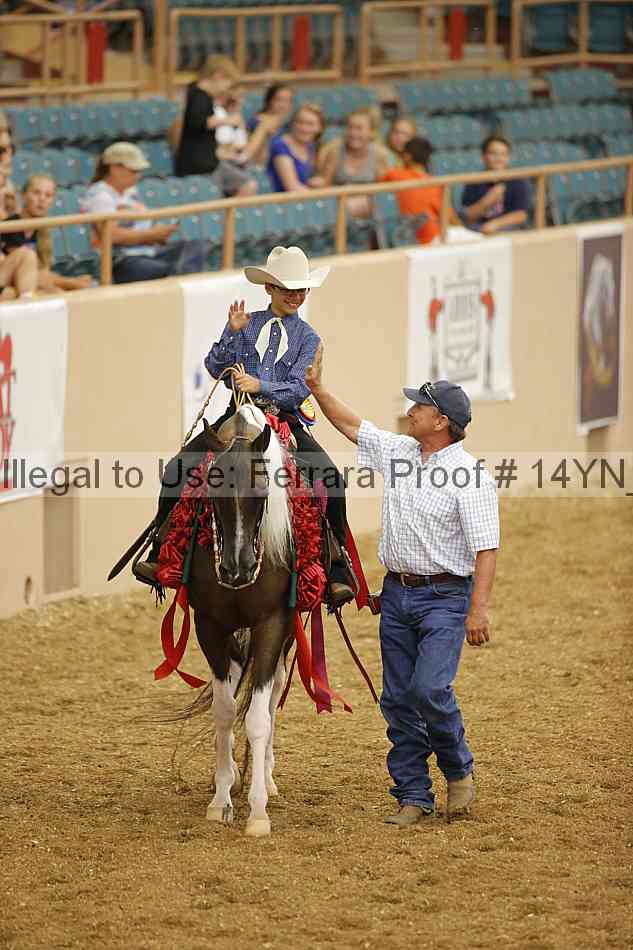 Proof 14yn_04006