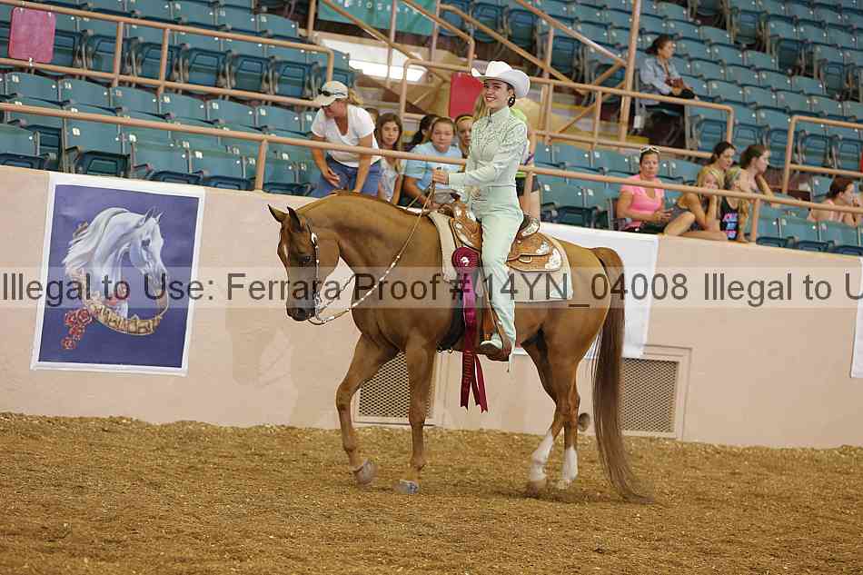 Proof 14yn_04008