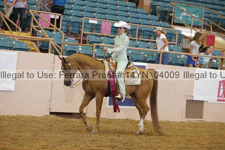 Proof 14yn_04009