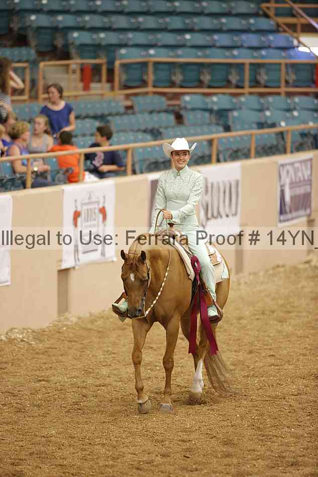 Proof 14yn_04011