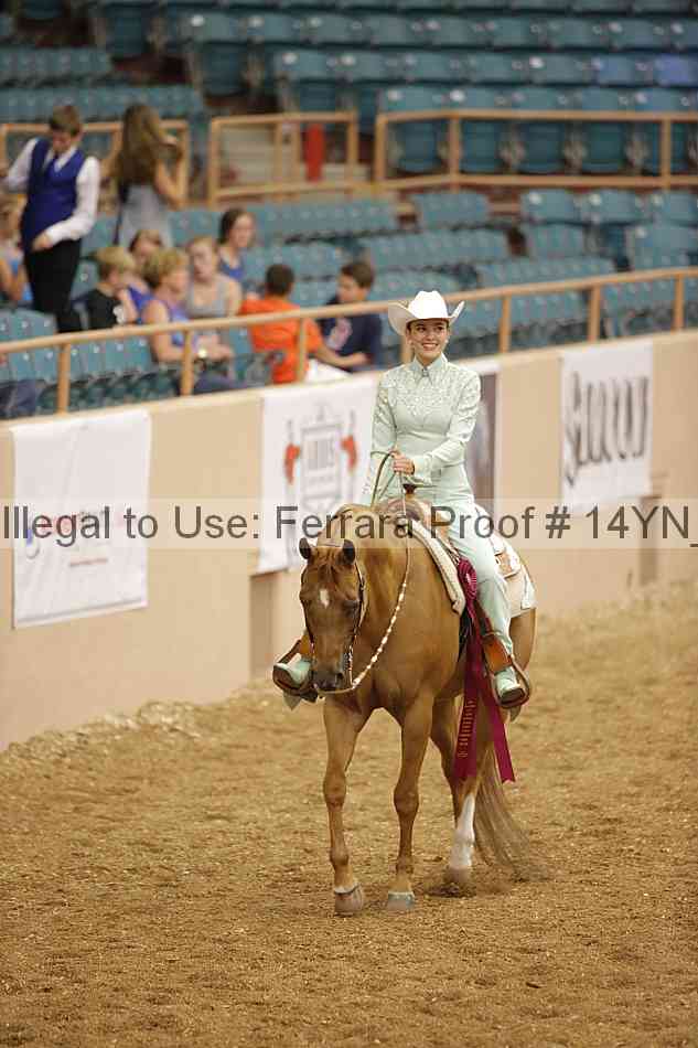 Proof 14yn_04012