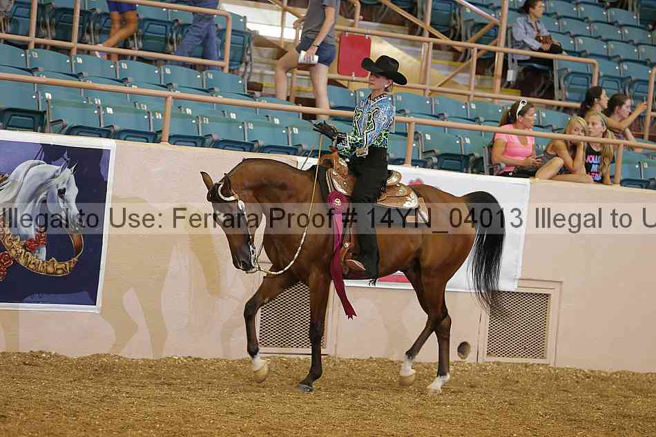 Proof 14yn_04013