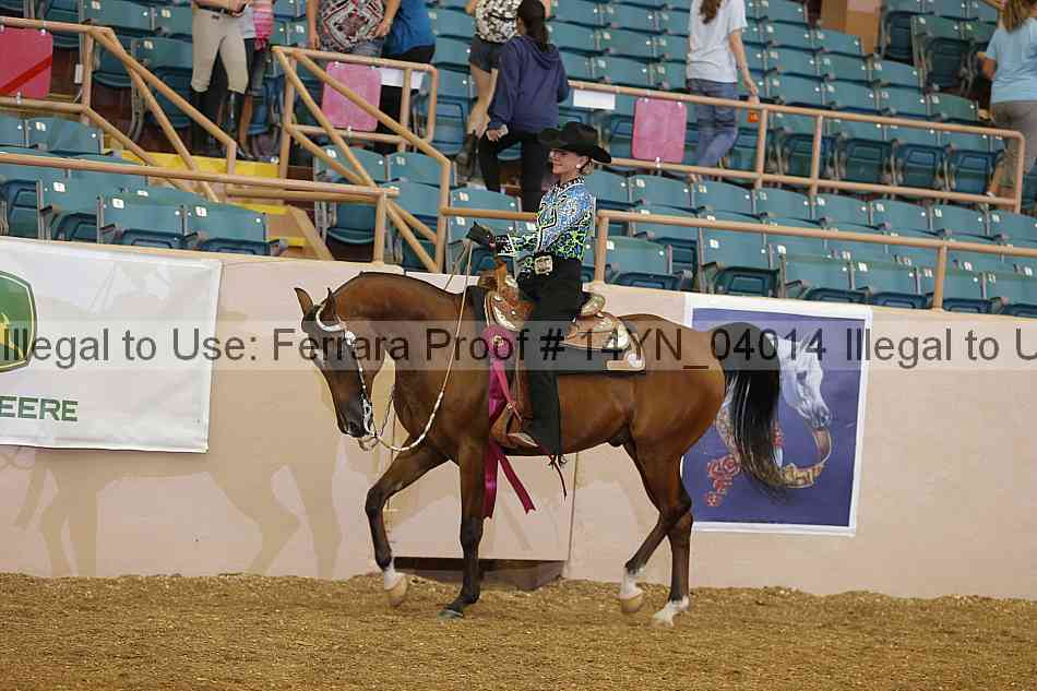 Proof 14yn_04014