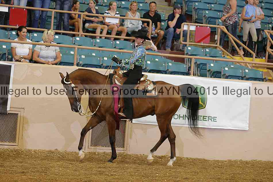 Proof 14yn_04015
