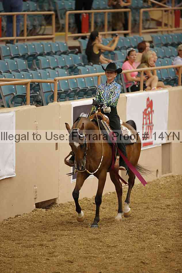 Proof 14yn_04016