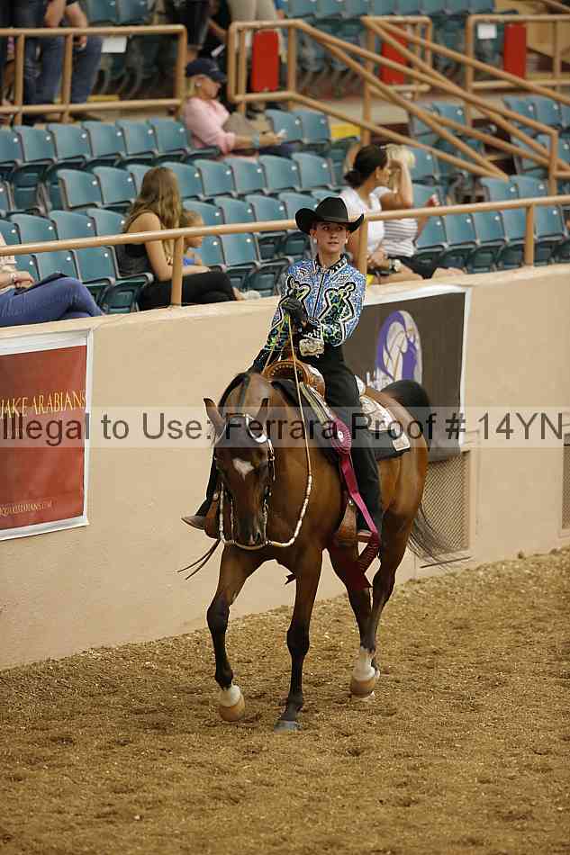 Proof 14yn_04018