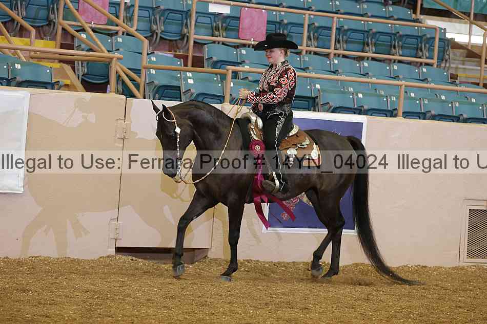 Proof 14yn_04024