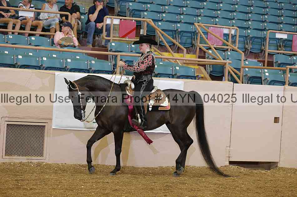 Proof 14yn_04025