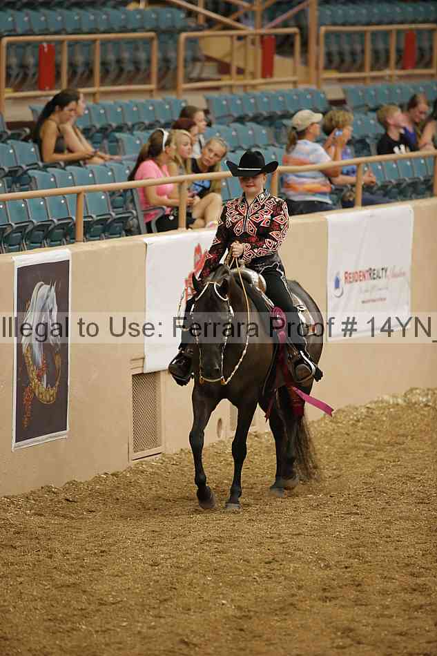 Proof 14yn_04027