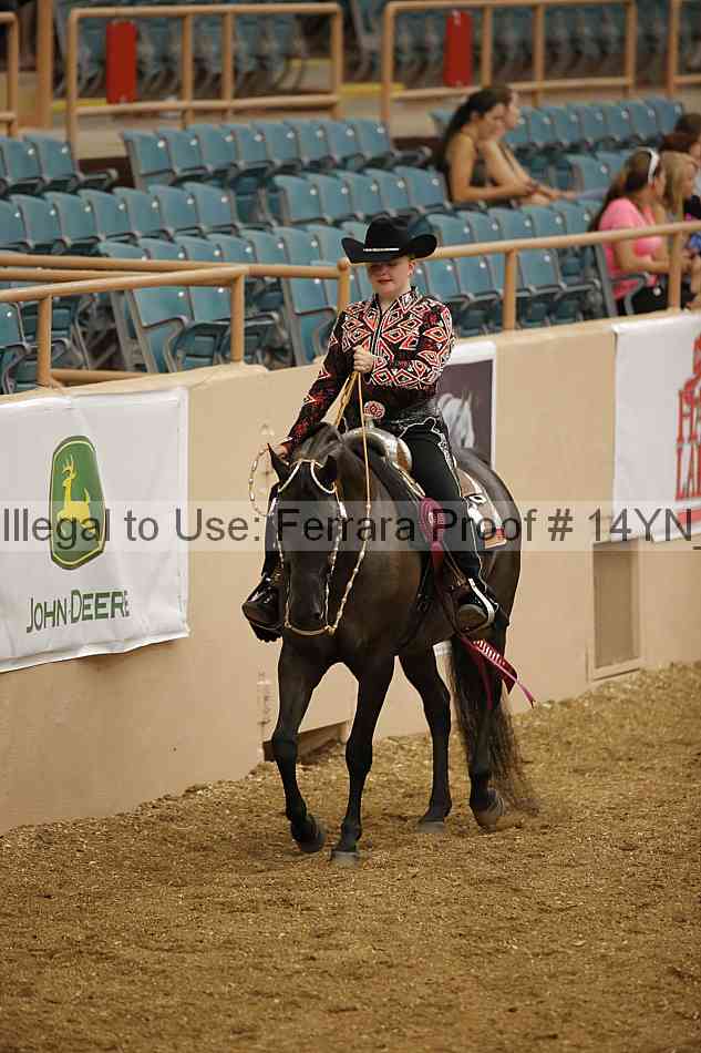 Proof 14yn_04028