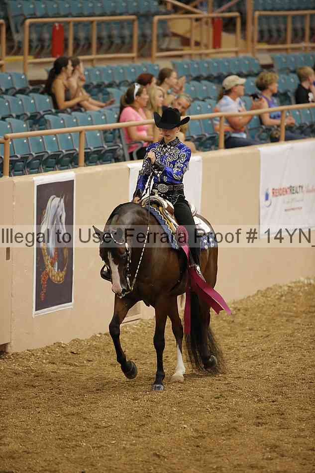 Proof 14yn_04033