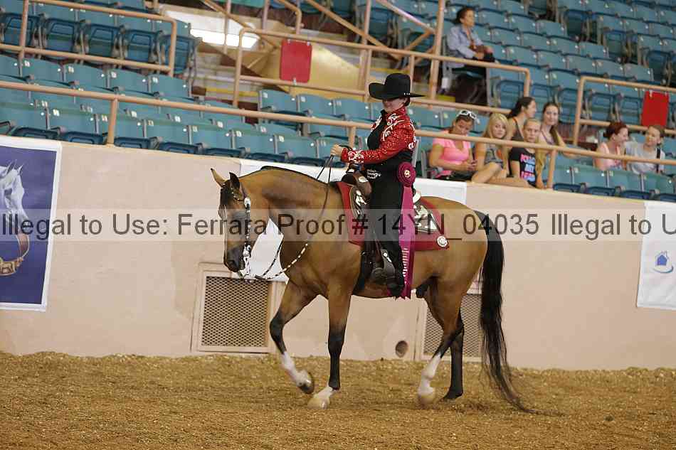 Proof 14yn_04035