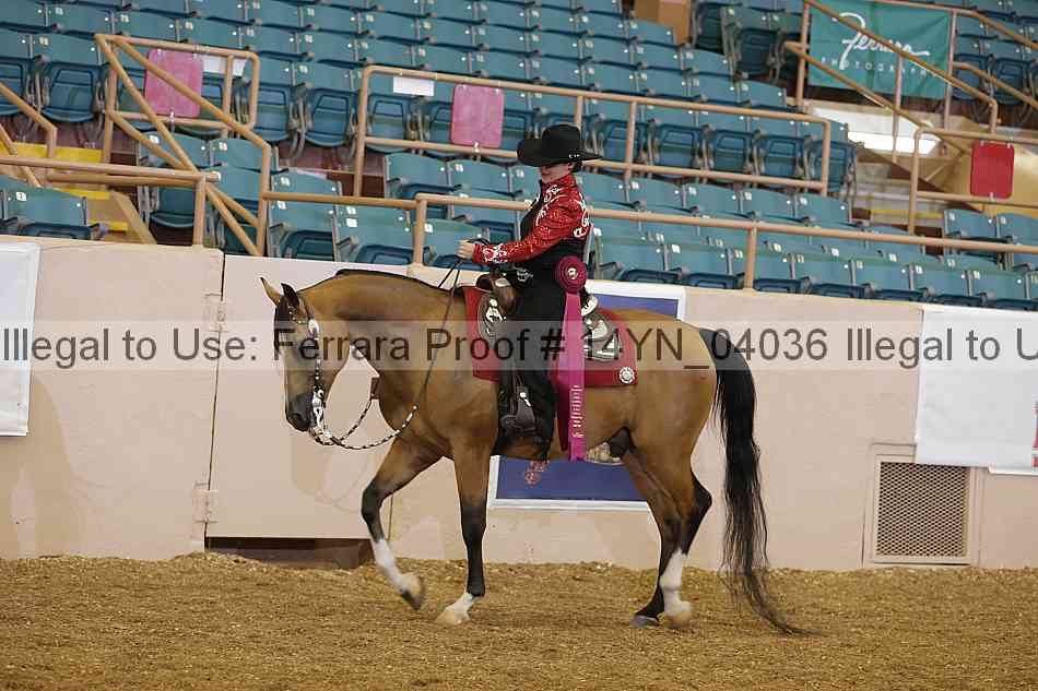 Proof 14yn_04036