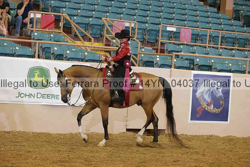 Proof 14yn_04037