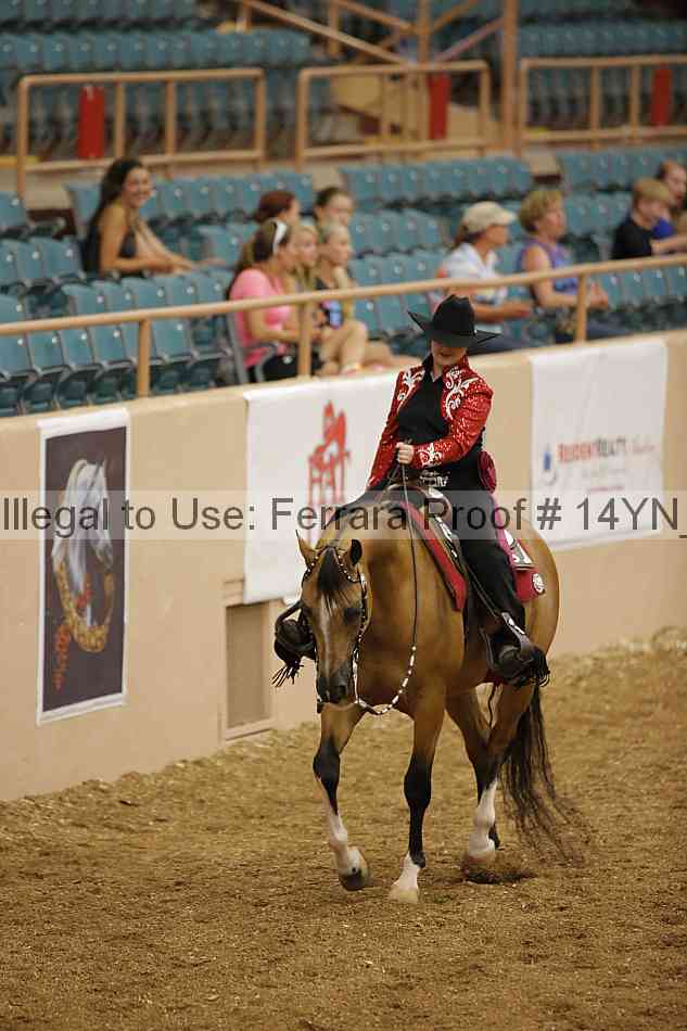 Proof 14yn_04038