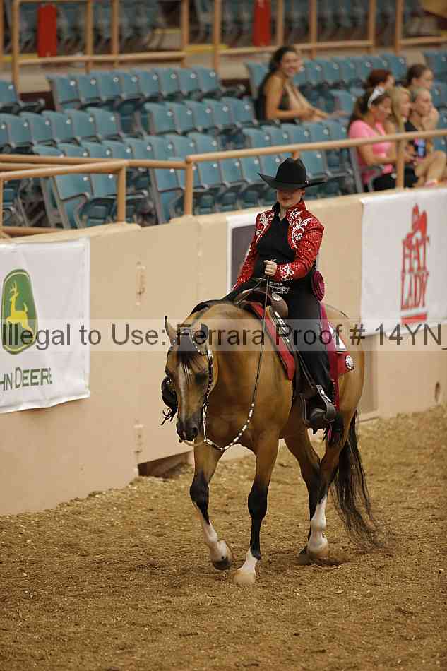 Proof 14yn_04039