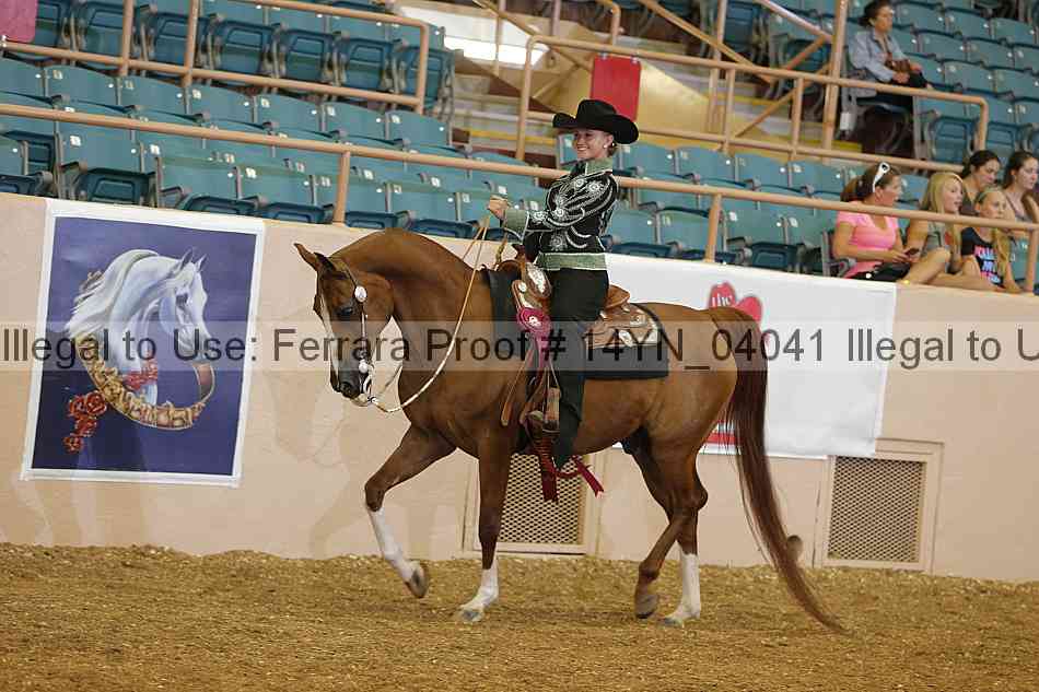 Proof 14yn_04041
