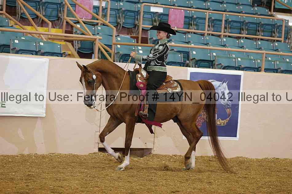 Proof 14yn_04042