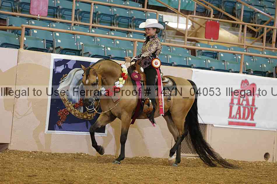 Proof 14yn_04053