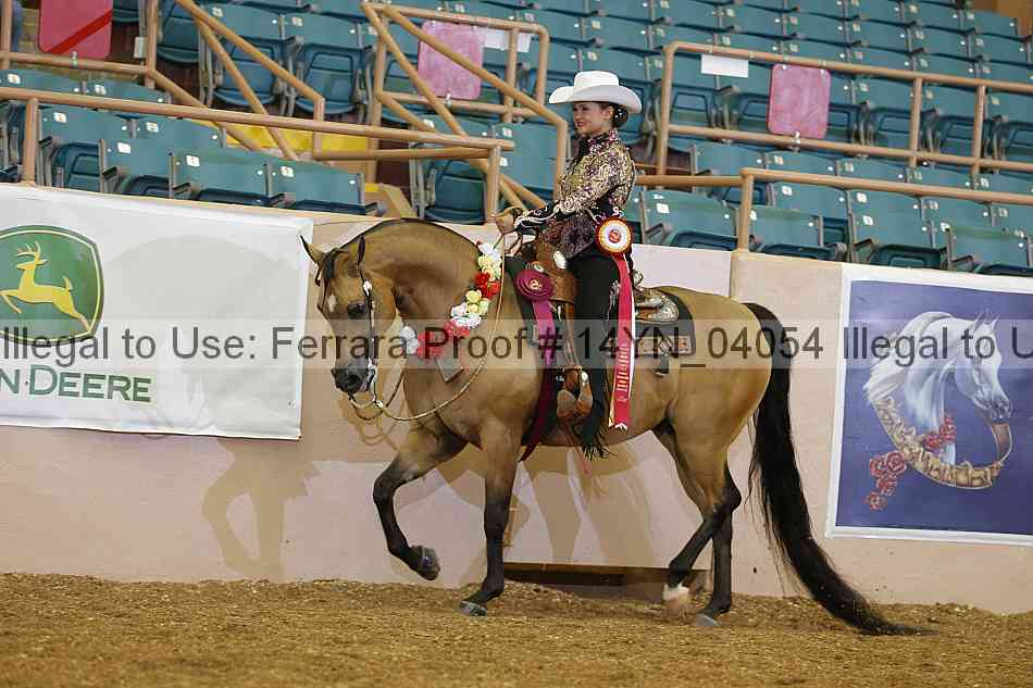 Proof 14yn_04054