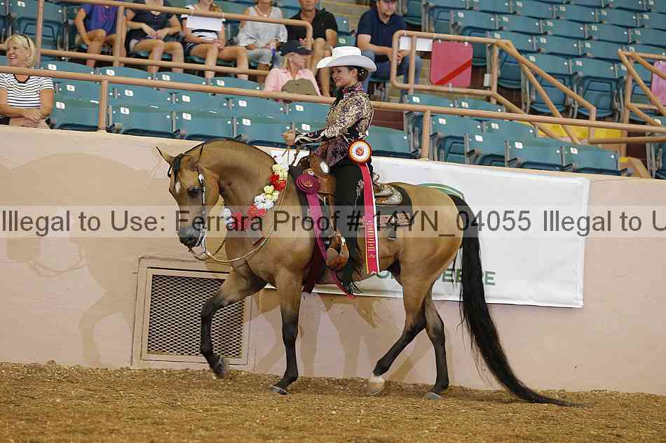 Proof 14yn_04055