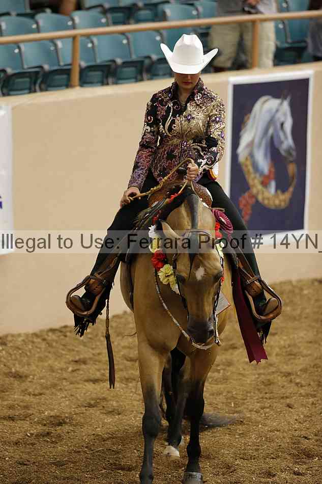 Proof 14yn_04058