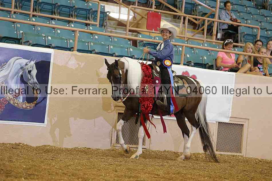 Proof 14yn_04060