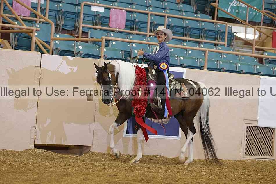 Proof 14yn_04062