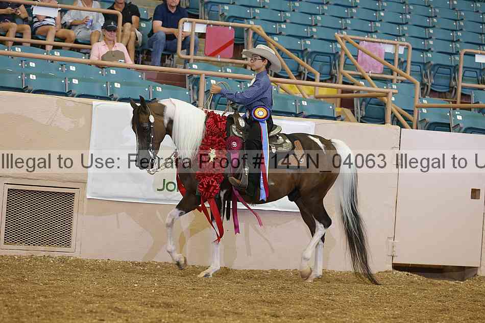 Proof 14yn_04063
