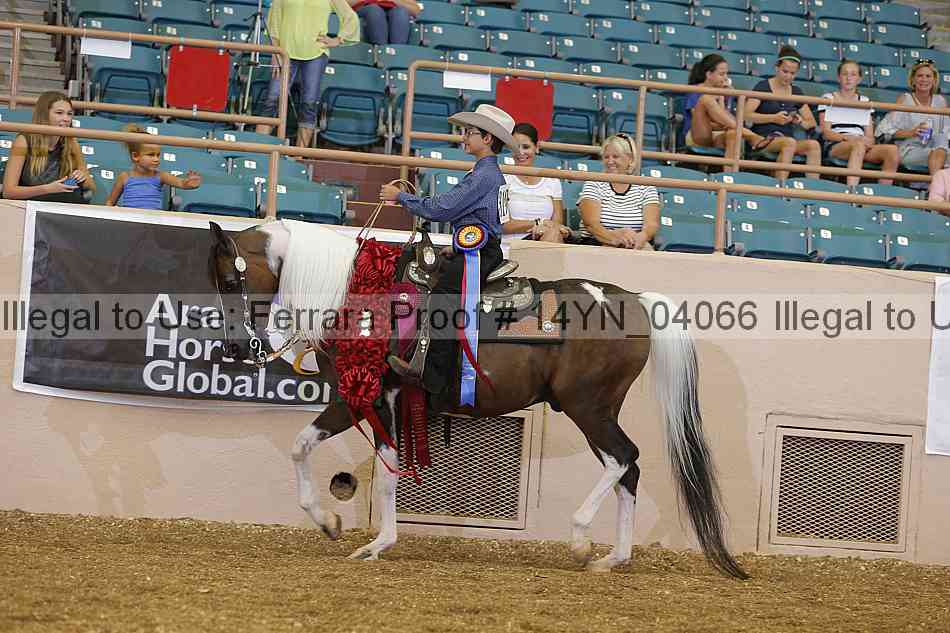Proof 14yn_04066